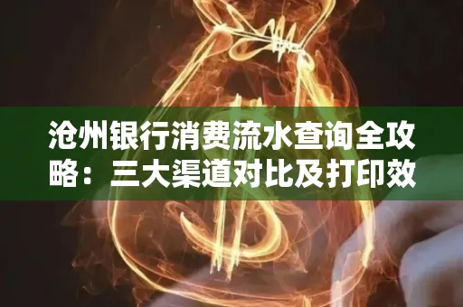 沧州银行消费流水查询全攻略：三大渠道对比及打印效率实测