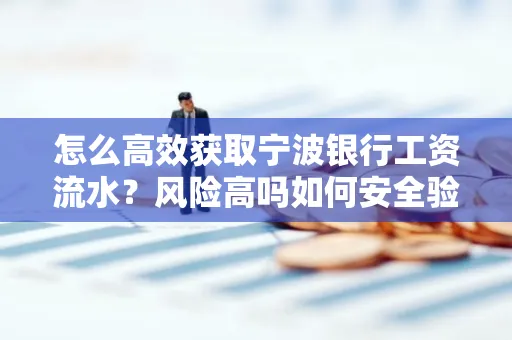 怎么高效获取宁波银行工资流水？风险高吗如何安全验证？