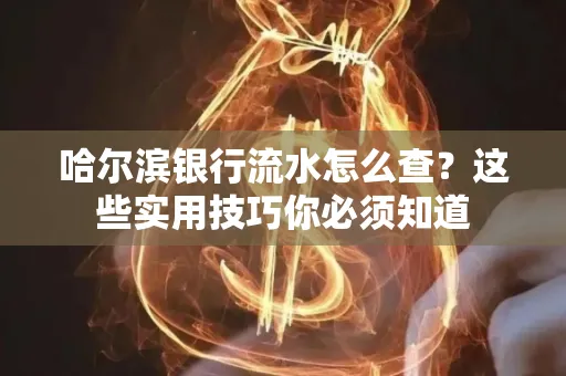 哈尔滨银行流水怎么查？这些实用技巧你必须知道